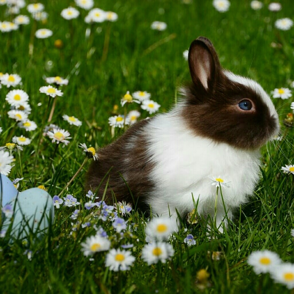 Thank You For Looking